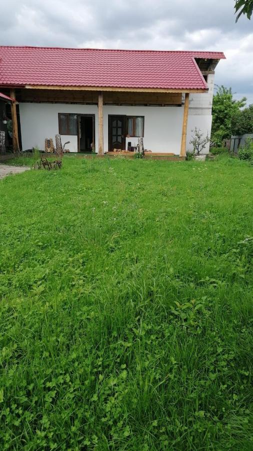 Jugul Taranului Agropensiune Polovragi, Gorj Villa Esterno foto
