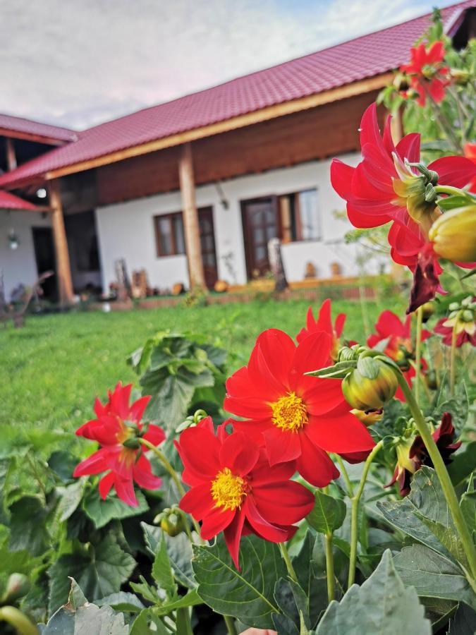 Jugul Taranului Agropensiune Polovragi, Gorj Villa Esterno foto