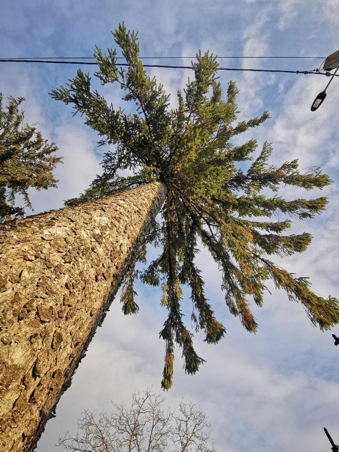Jugul Taranului Agropensiune Polovragi, Gorj Villa Esterno foto
